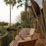 Agence de voyage Botswana : les critères pour bien sélectionner son spécialiste du pays